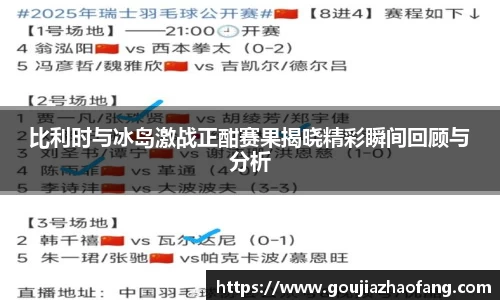 比利时与冰岛激战正酣赛果揭晓精彩瞬间回顾与分析